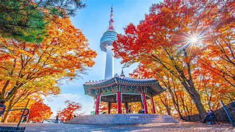 Namsan corner .